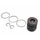 PISTON WITH RINGS