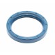 SEAL OEM