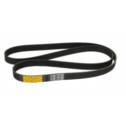 BELT CVA