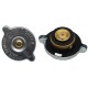 RADIATOR CAP