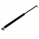 GAS STRUT