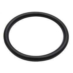 SEAL O-RING CVA