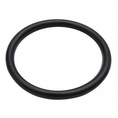 SEAL O-RING CVA