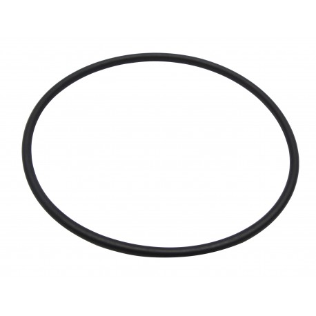 SEAL O-RING CVA