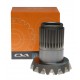 RING GEAR CVA