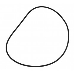 O-RING OEM