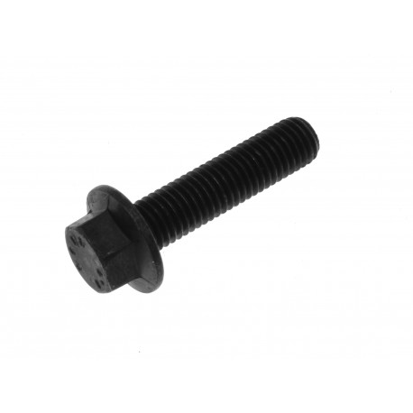 FLANGE SCREW