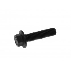 FLANGE SCREW