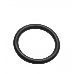 SEAL O-RING CVA