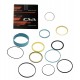 SEAL KIT CVA (12 ELEMENTS)