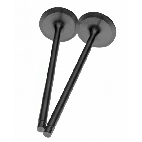 ZAWÓR WYDECHOWY (wyp)