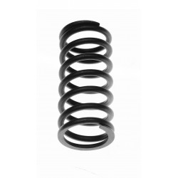 VALVE SPRING
