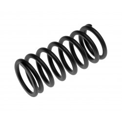 VALVE SPRING