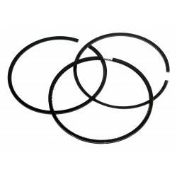 KIT PISTON RING CVA (OEM)