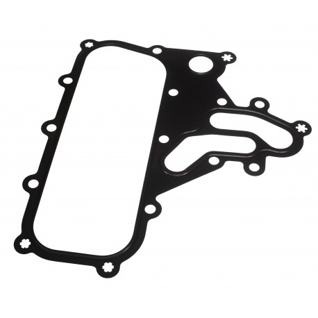 GASKET CVA