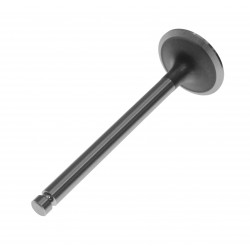 EXHAUST VALVE