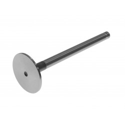 EXHAUST VALVE